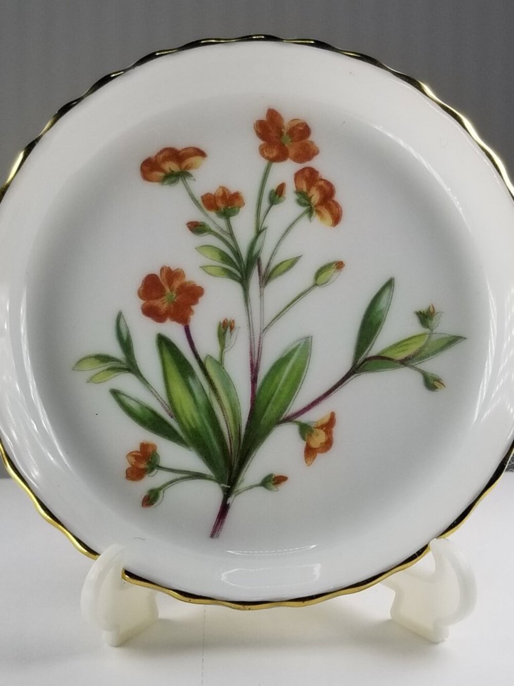 Minton Meadow Bone China Coaster Gold-Trimmed OY Floral Miniature Dish England